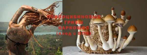 COCAINE Белокуриха